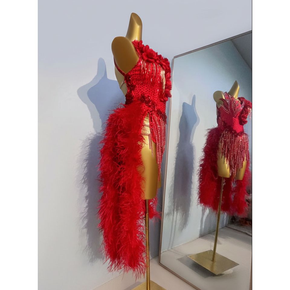 Latin Dance Dress