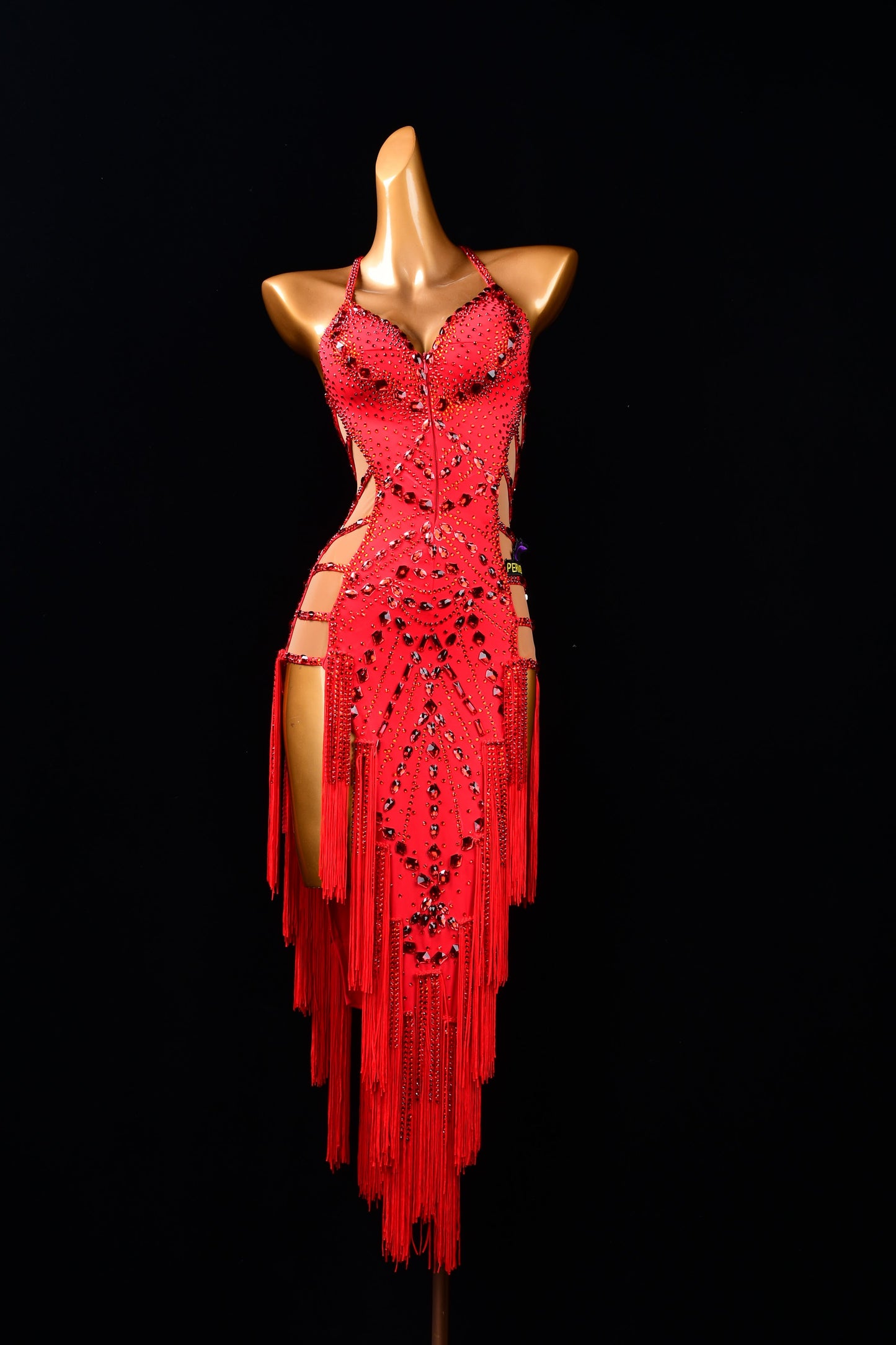 Latin Competition Dress