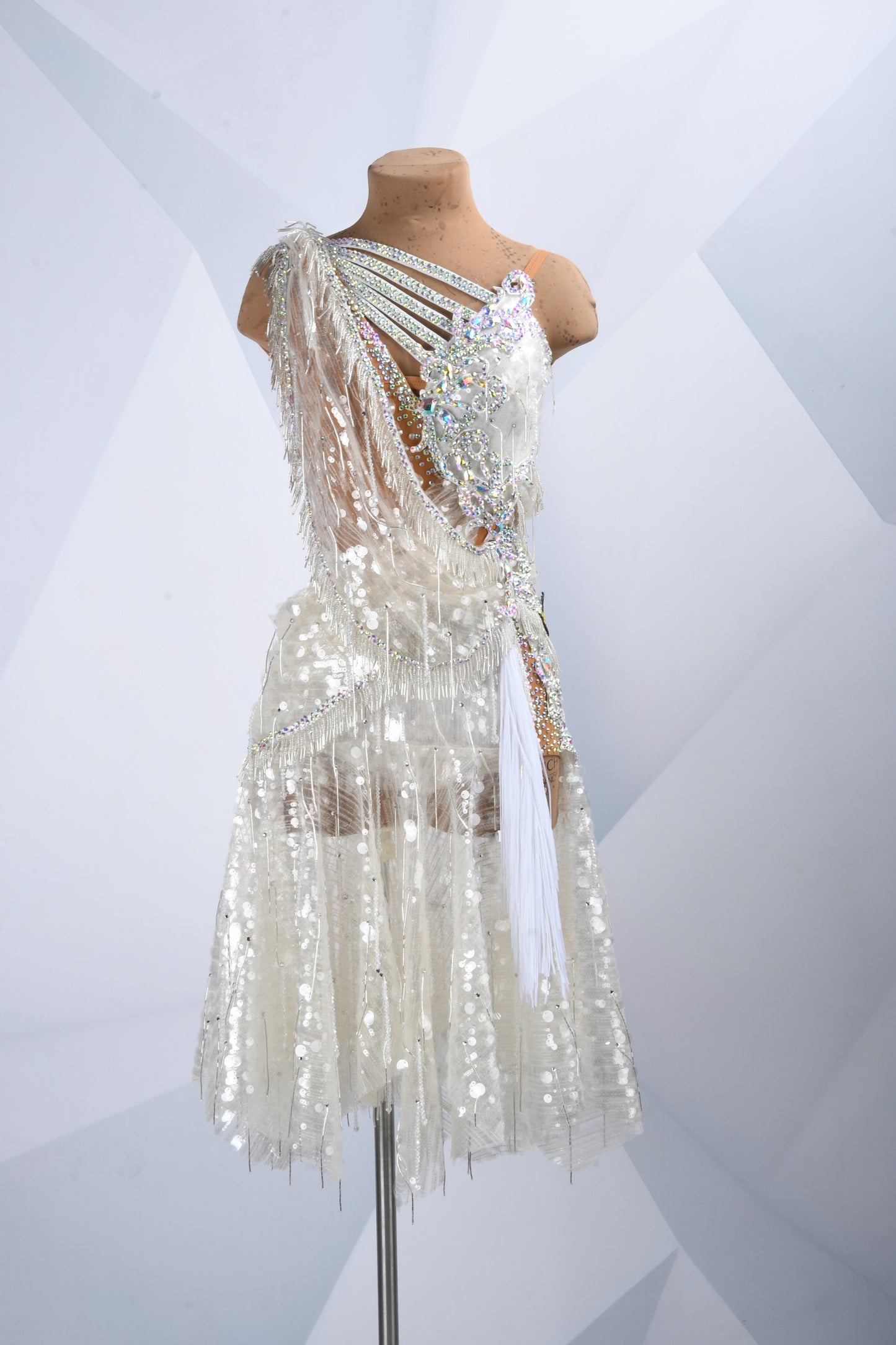Luxury Competition Dress