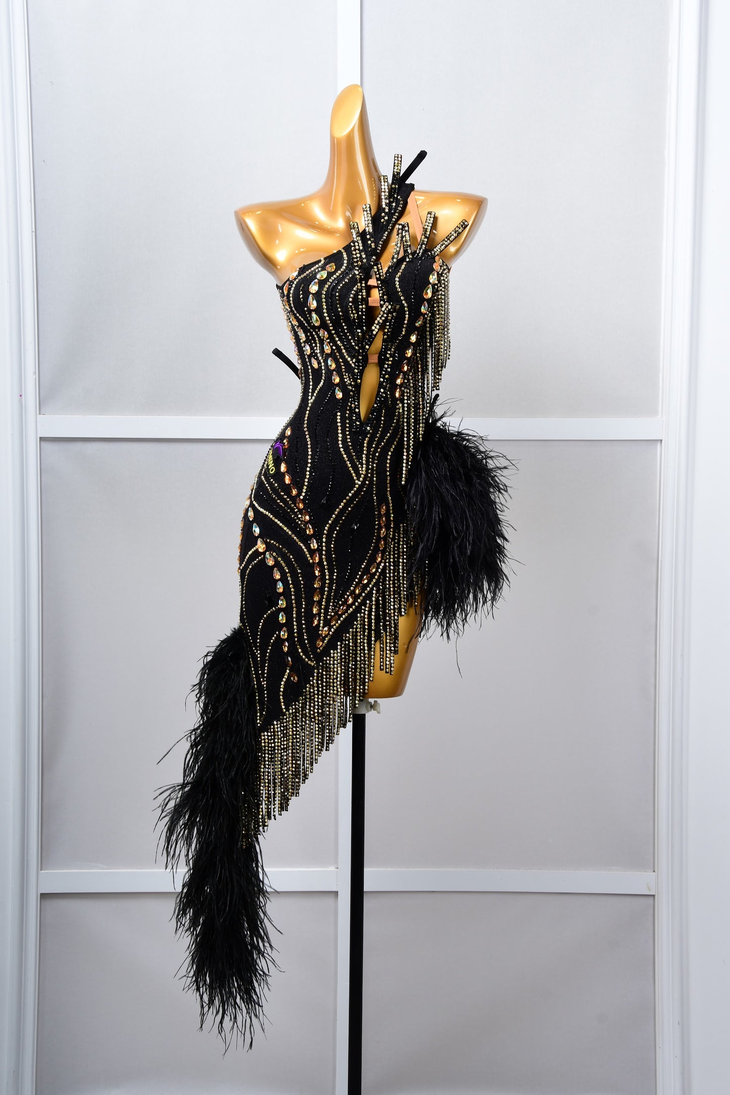Luxury Latin Costume