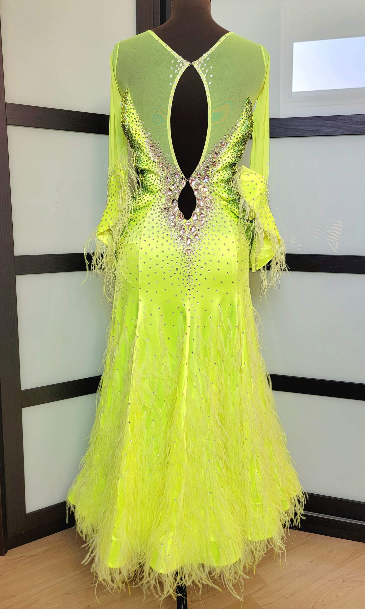 Swarovski Shine Ballroom Dress