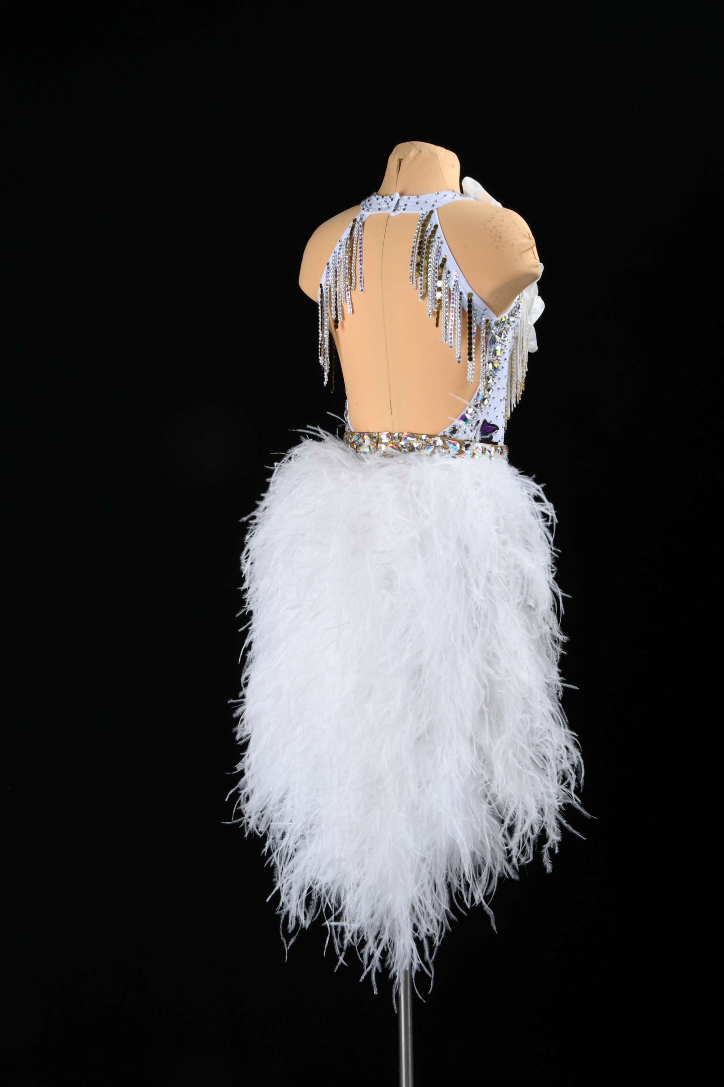 Swan’s Rhythm | DSC_750