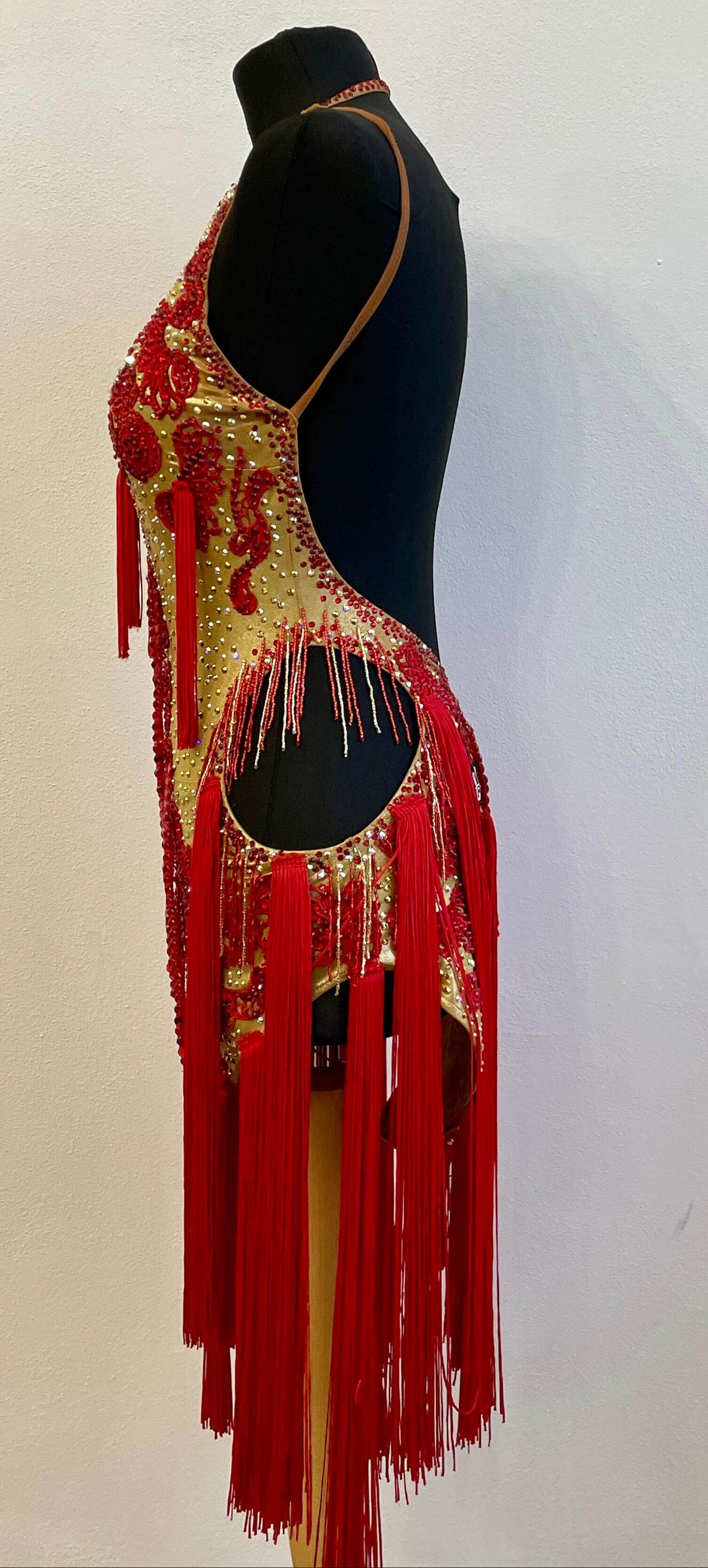 Luxury Latin Dance Dress