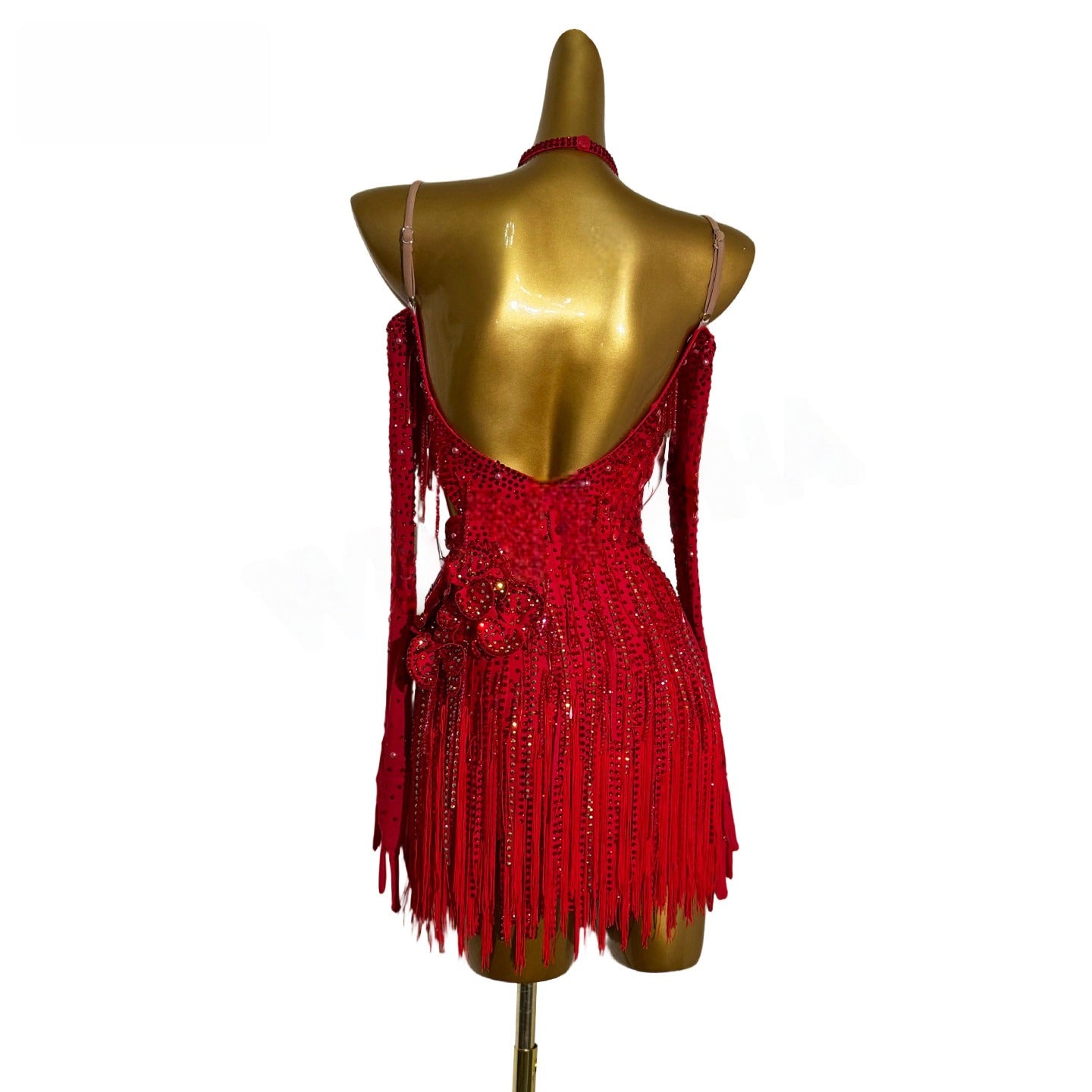 Latin Dance Couture