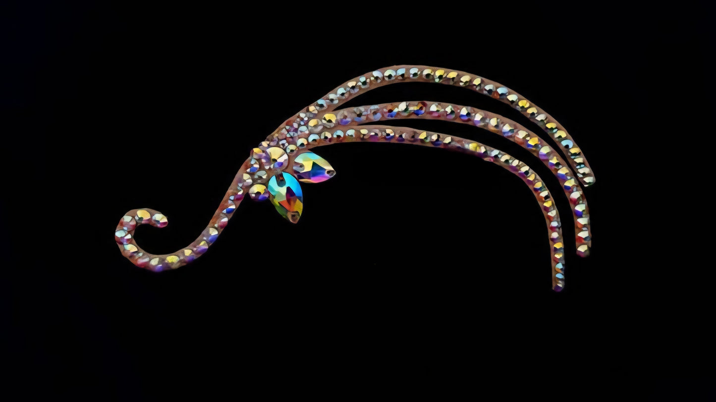 Competition Hairstyle