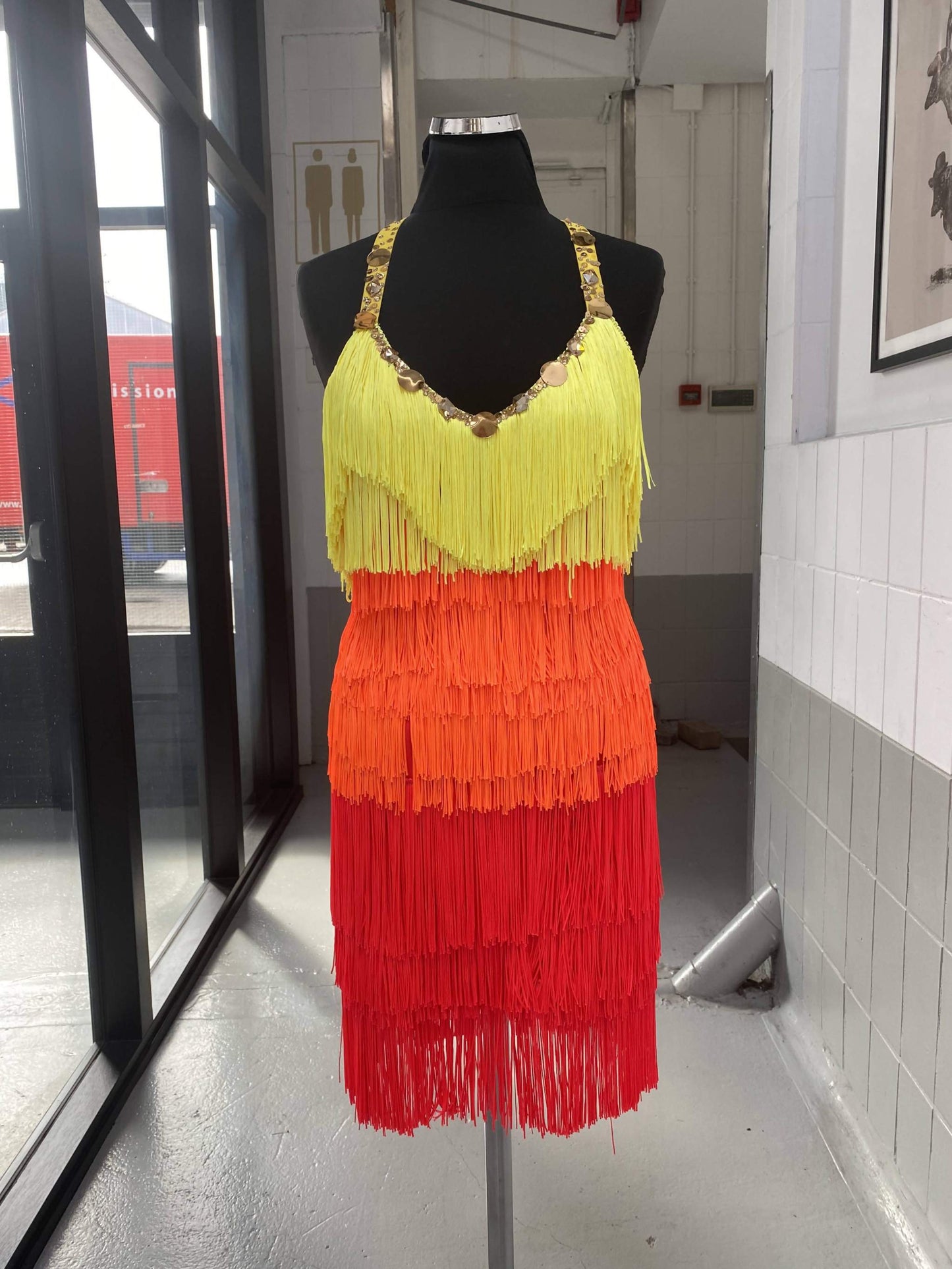 Fringe Rainbow DressDance Dressing
