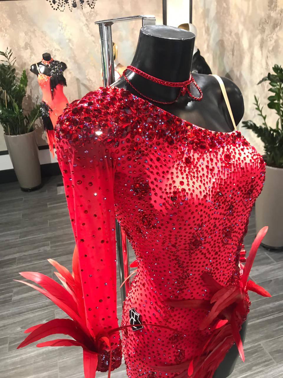 One Sleeve Red Latin Dress with FeathersDance Dressing