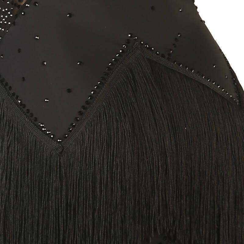 Black Beauty Latin Dress | LQ408Dance Dressing