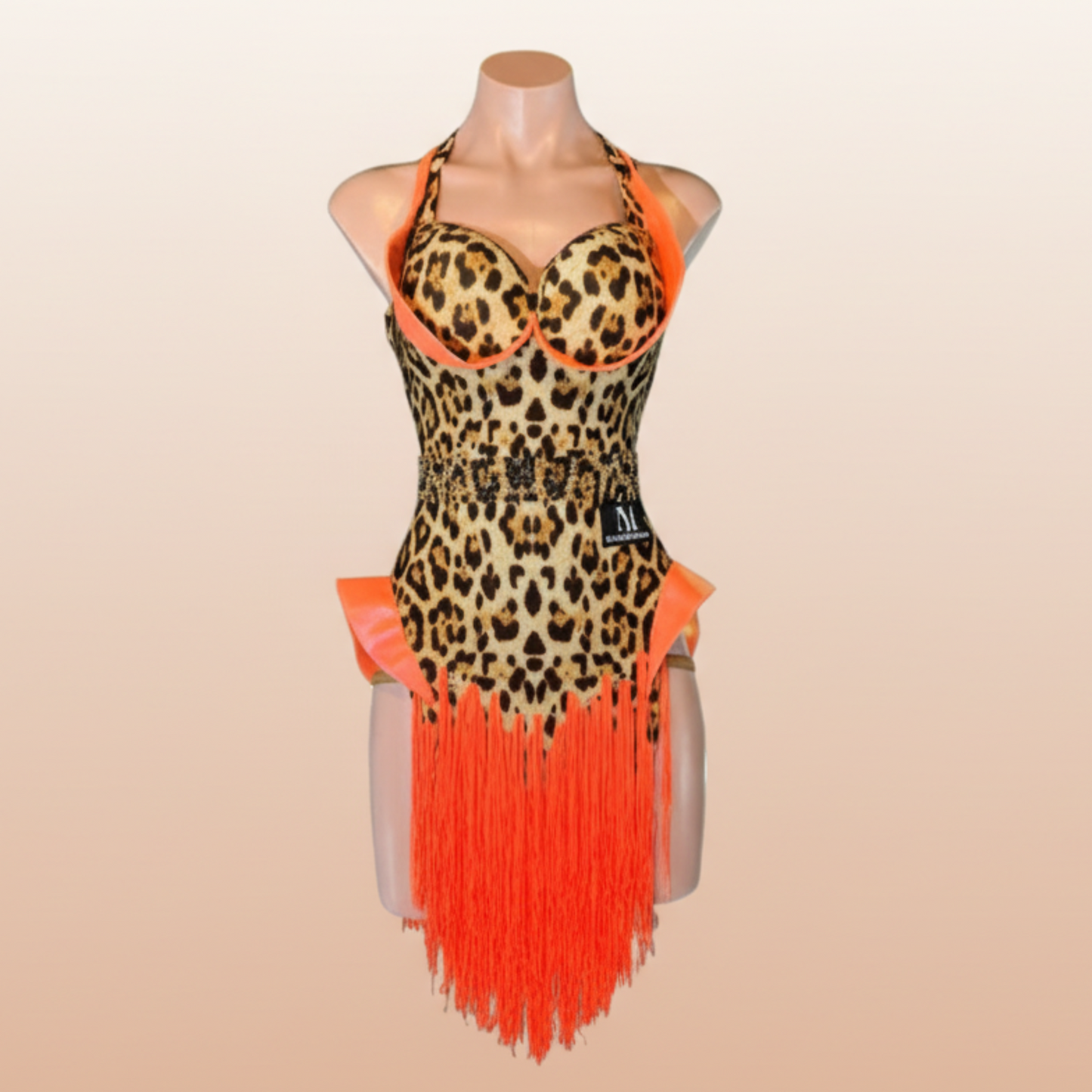 Latin Dress Costume