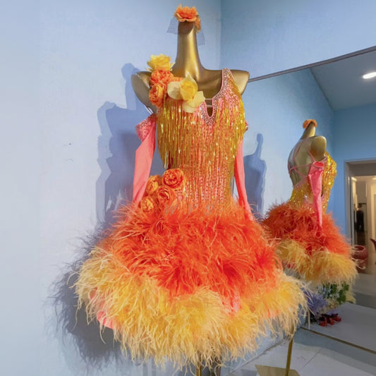 Latin Dance Dress