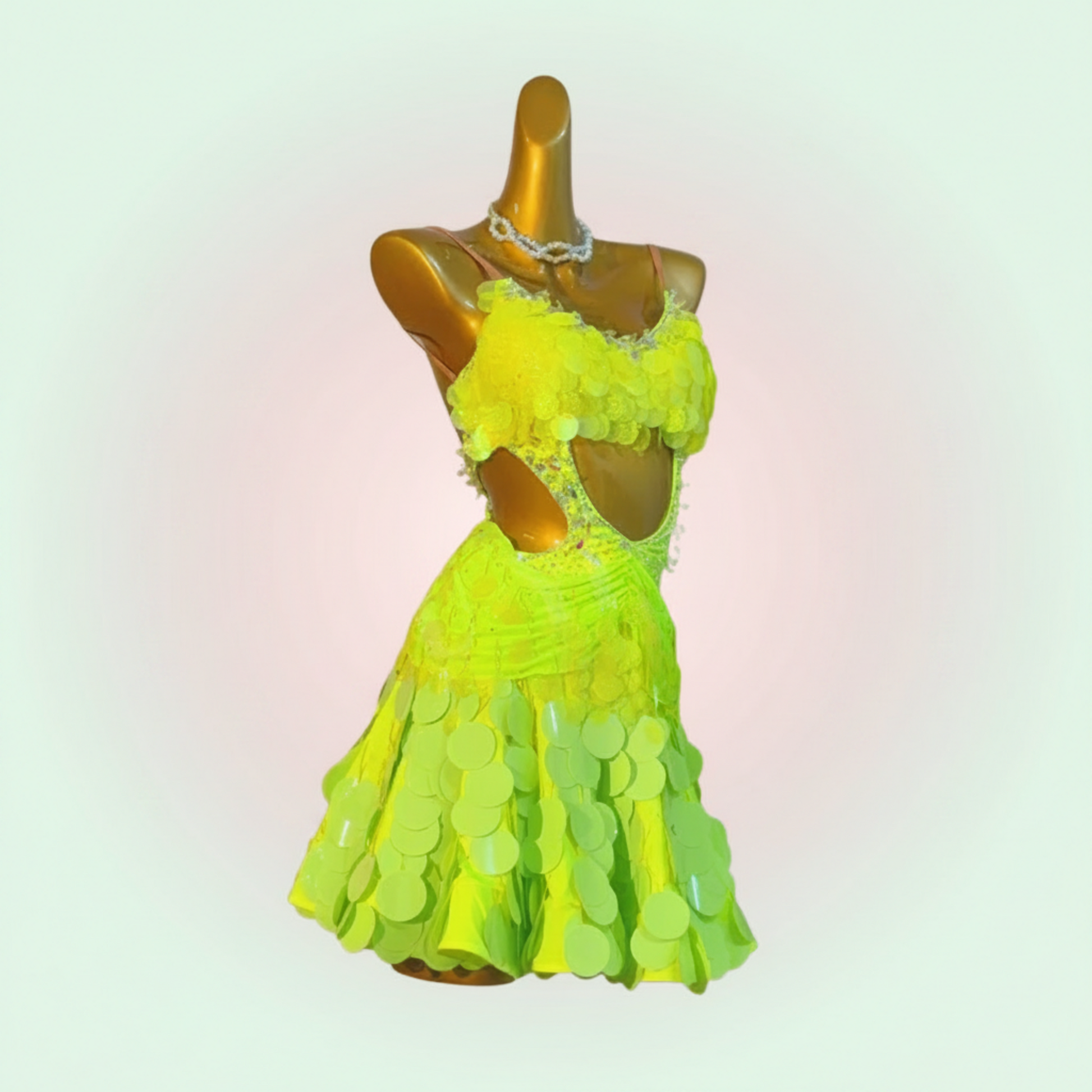 Custom Latin Dress
