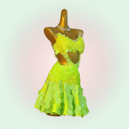Custom Latin Dress
