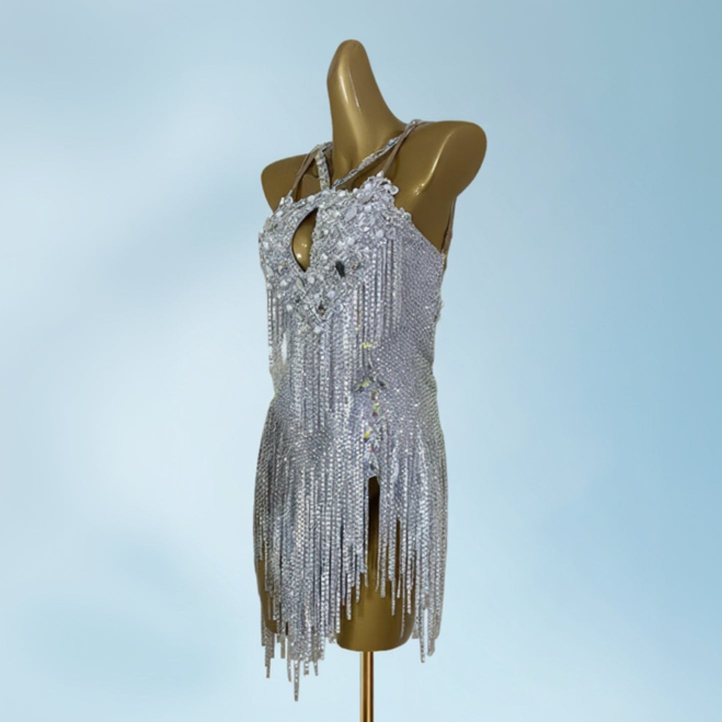 Crystal Latin Costume