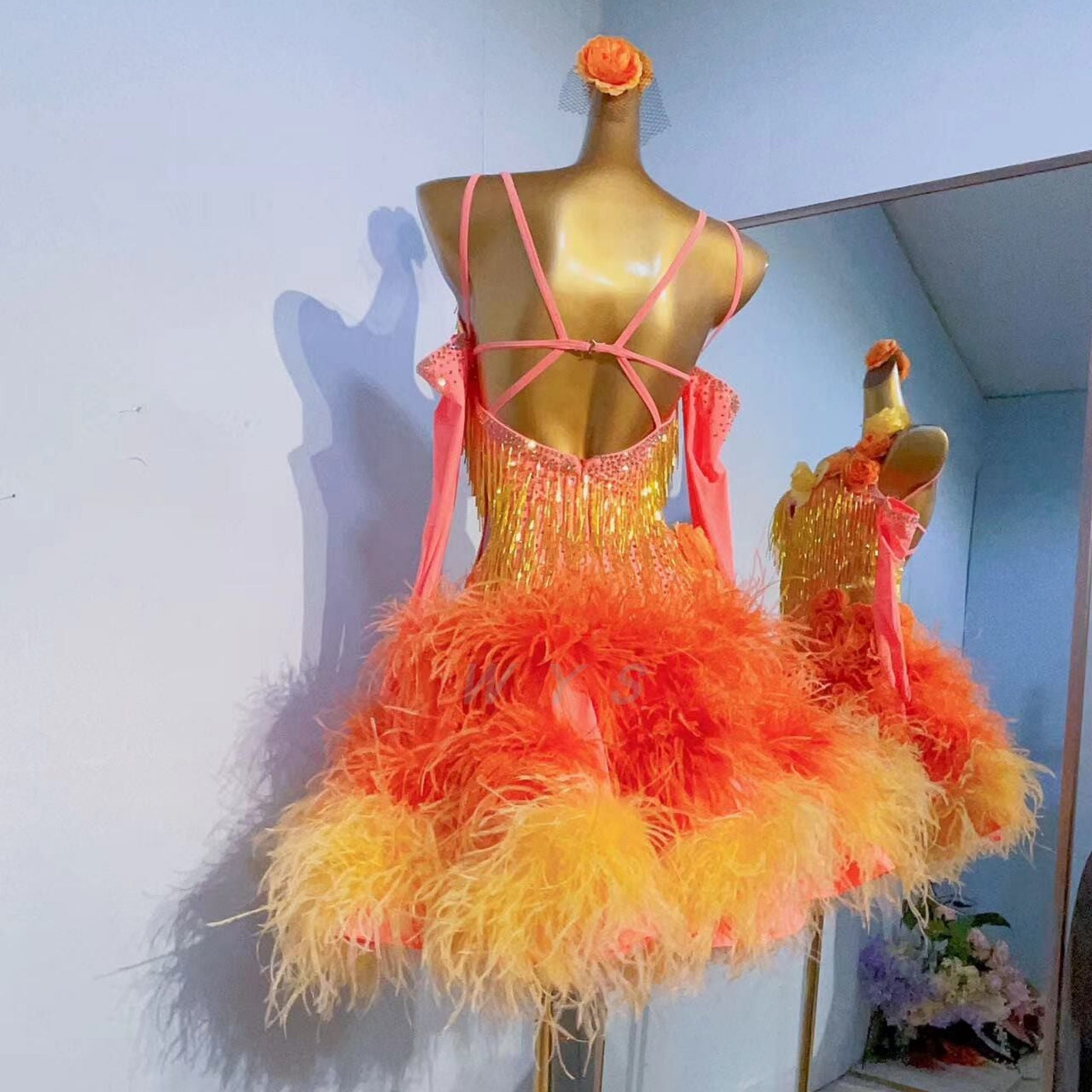 Latin Dance Dress