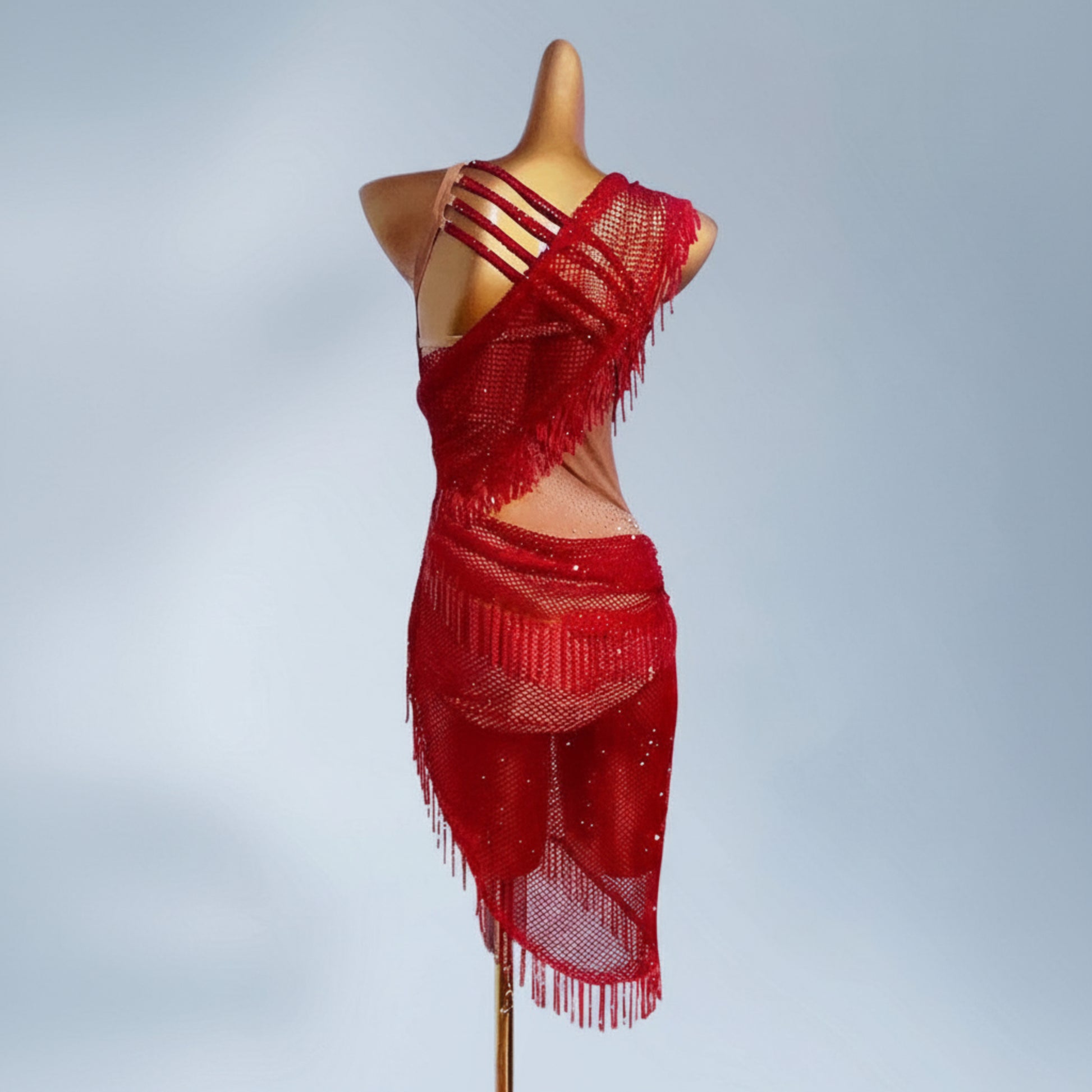 Latin dancesport dresses