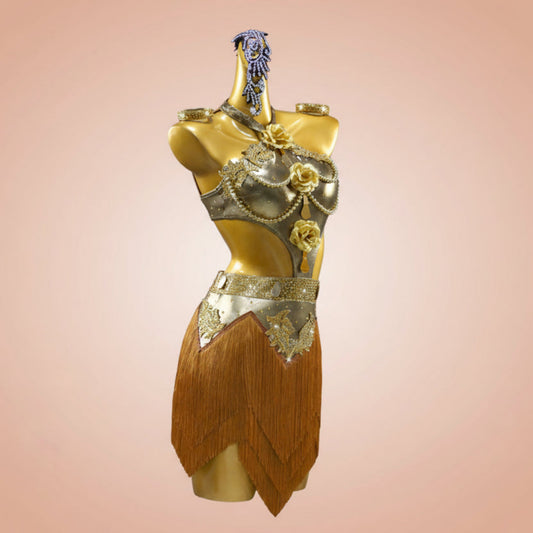 Latin Dance Costume