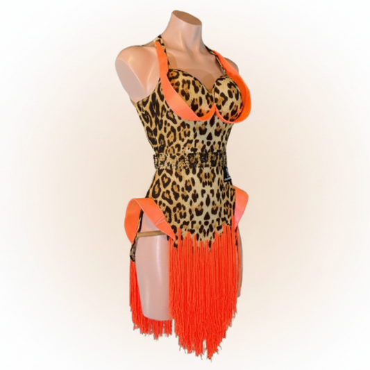 Latin Dress Costume