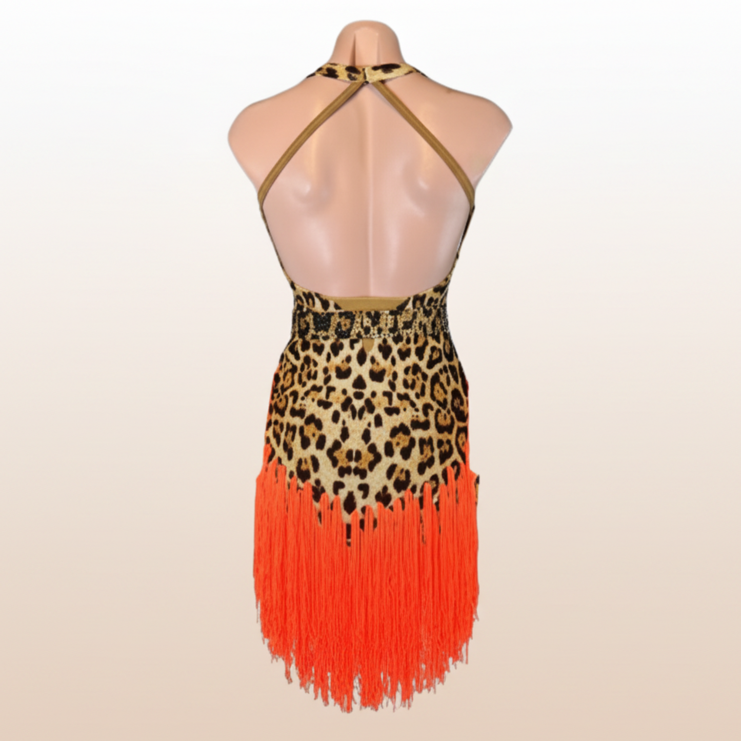 Latin Dress Costume
