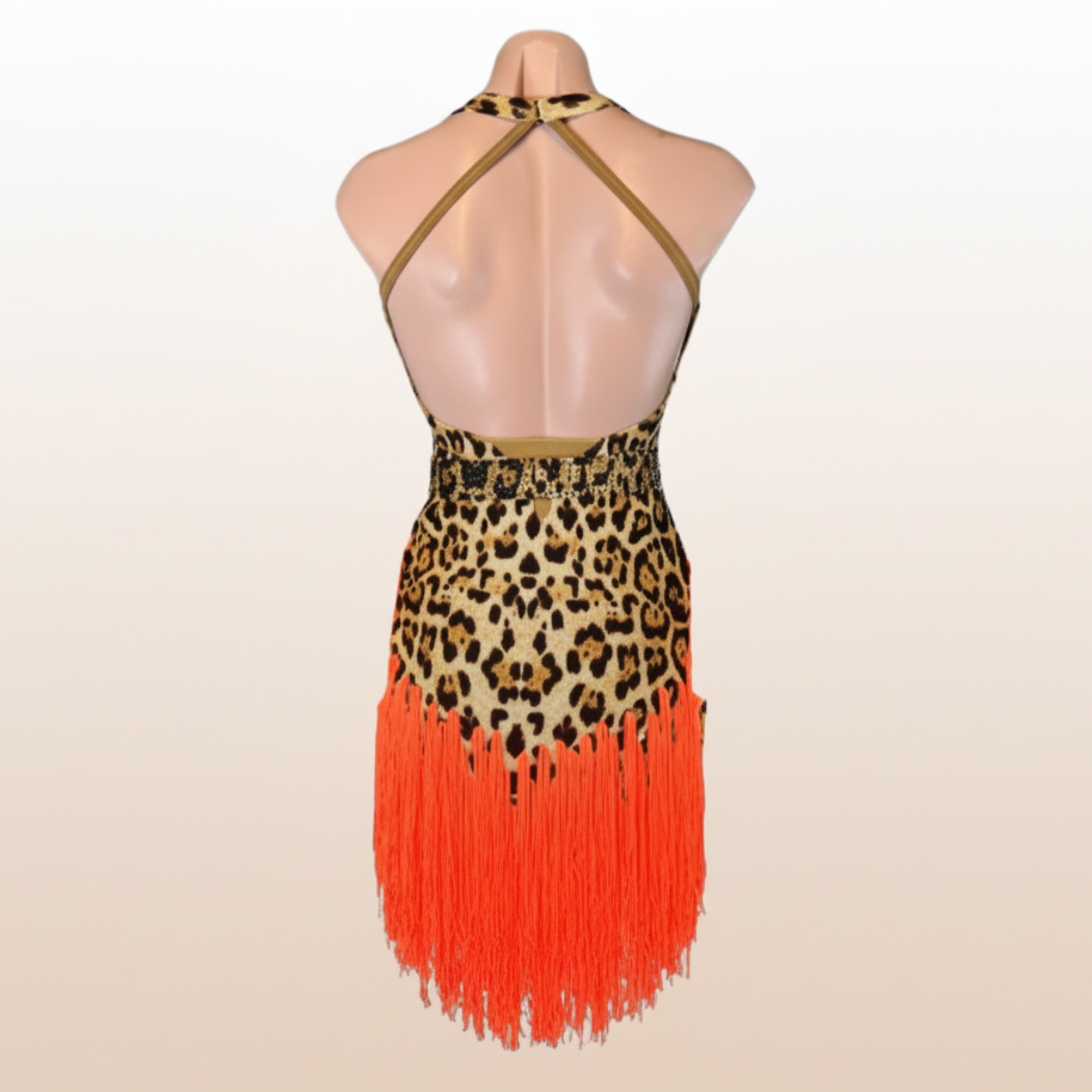Latin Dress Costume