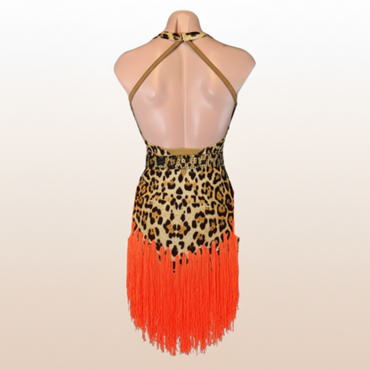 Latin Dress Costume