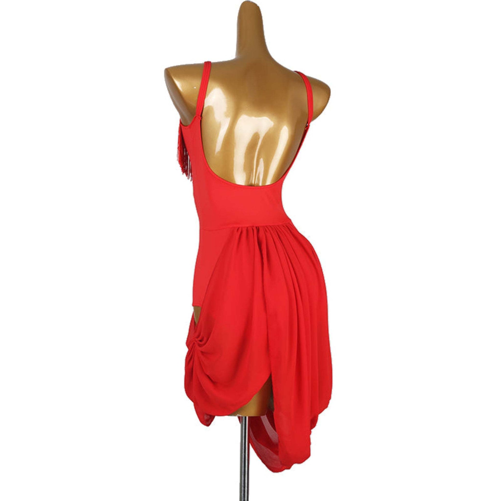 Latin dancesport dresses