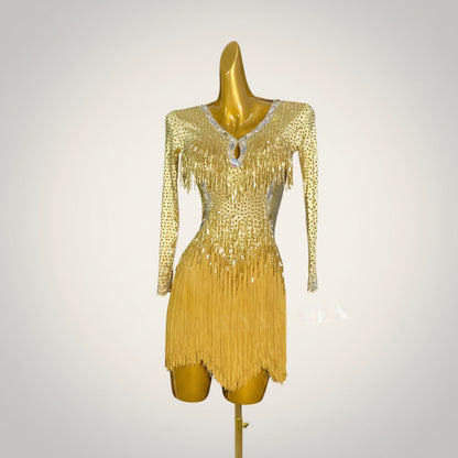Girls Latin Dress