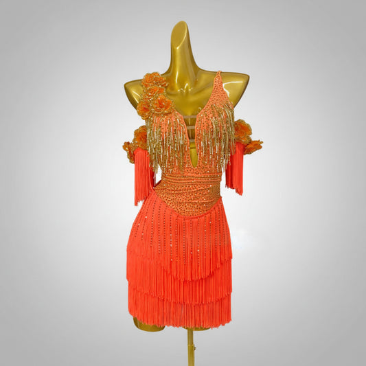 Latin Dance Dress