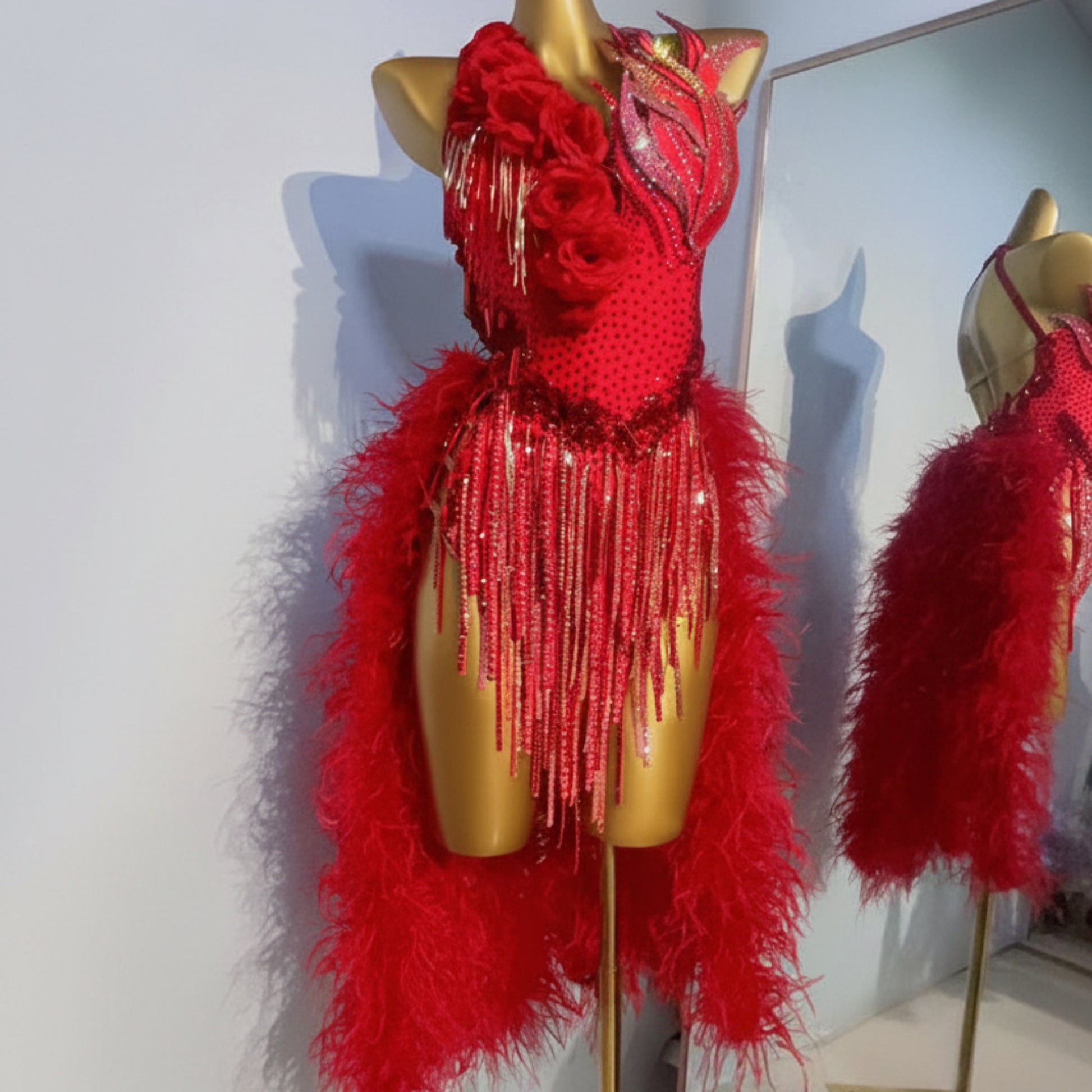 Latin Dance Dress