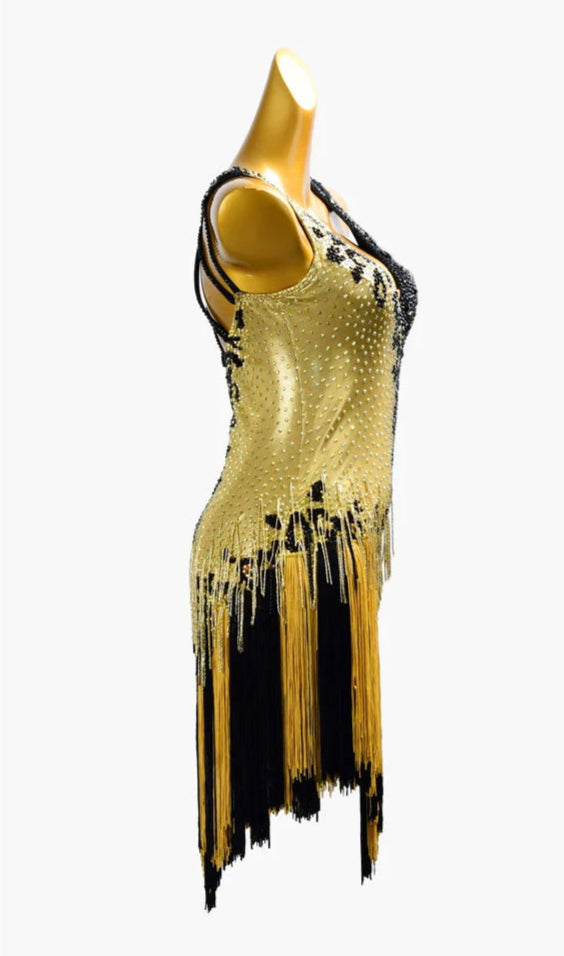 Latin dancesport dresses