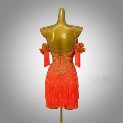 Latin Dance Dress