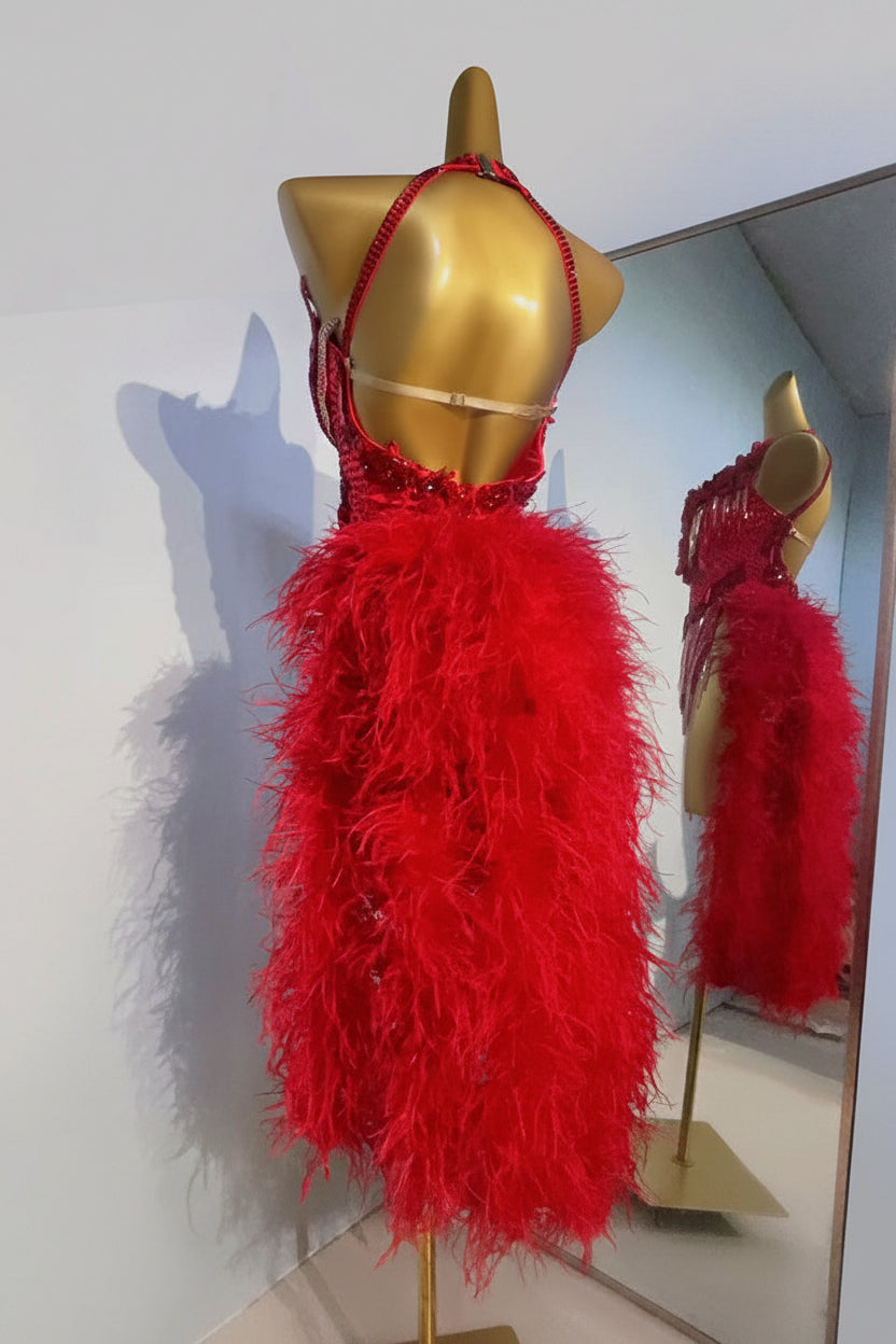 Latin Dance Dress