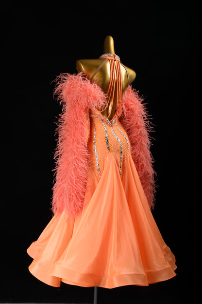 Professional Ballroom Competition Dress 