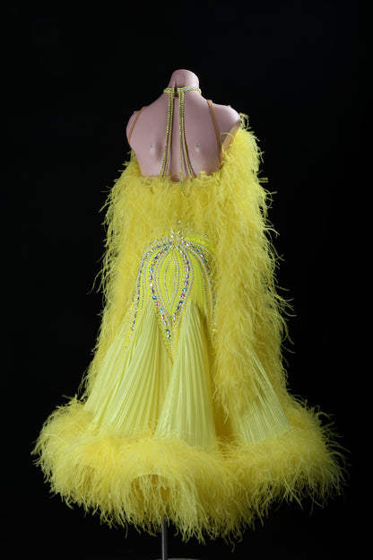 Custom Ballroom Dress
