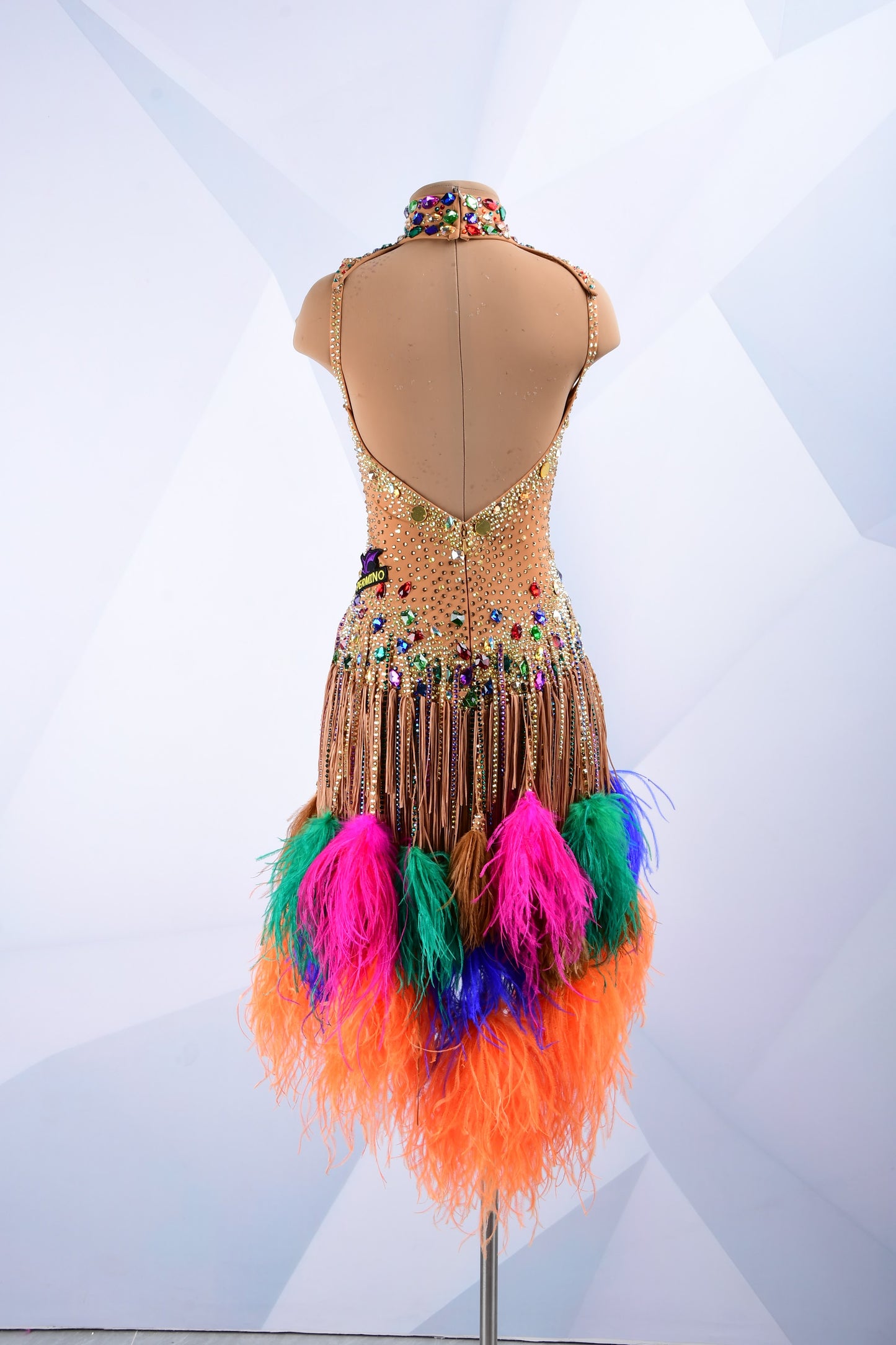 Latin Dance Costume