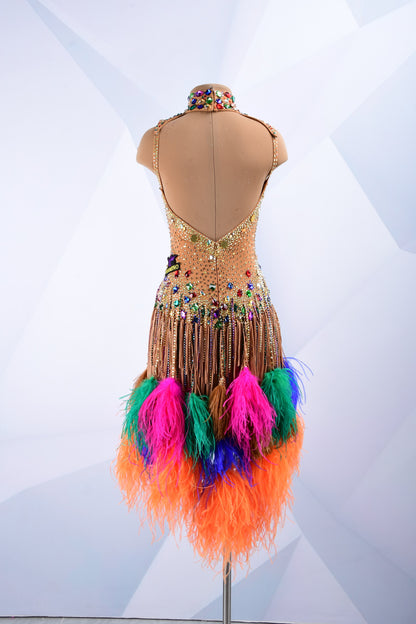 Latin Dance Costume