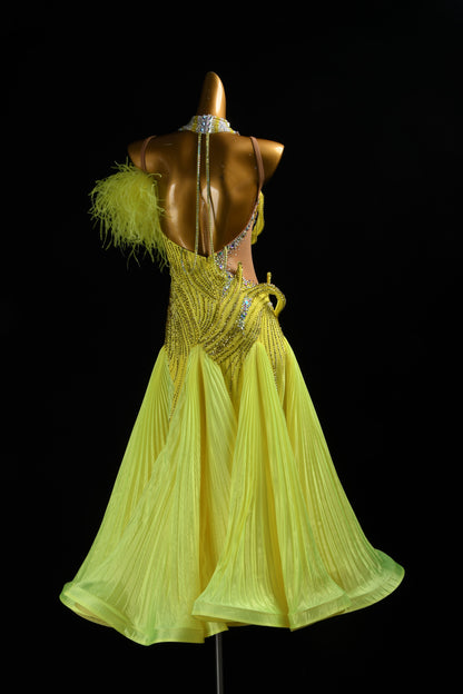 Couture Ballroom Dress