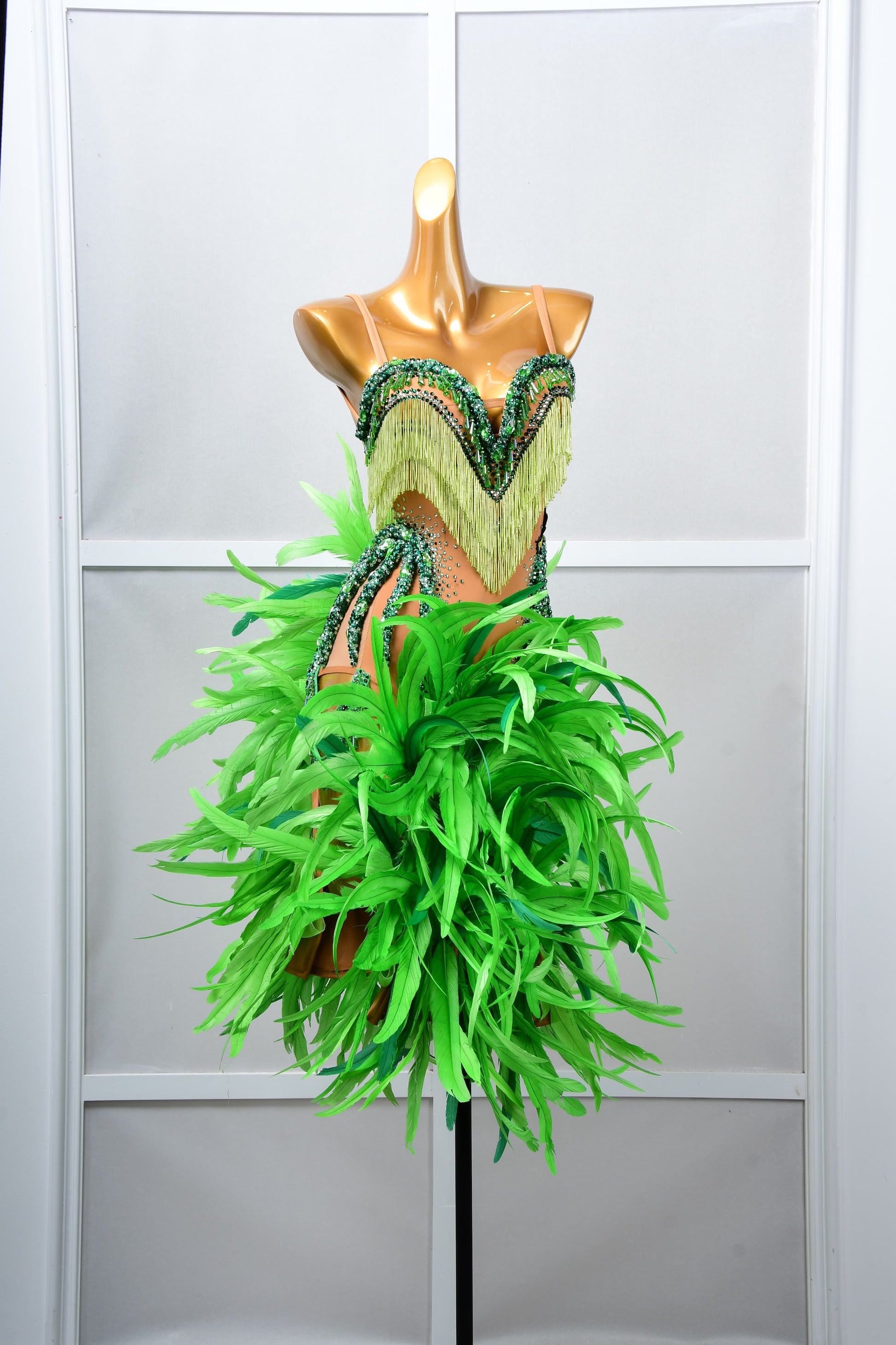 Latin Dancewear Dress