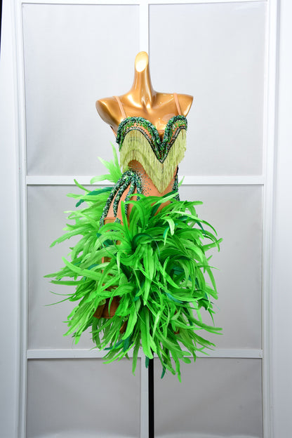 Latin Dancewear Dress