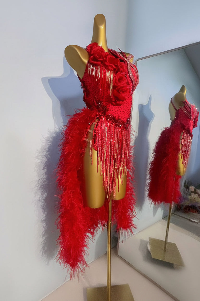 Latin Dance Dress