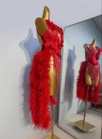 Latin Dance Dress