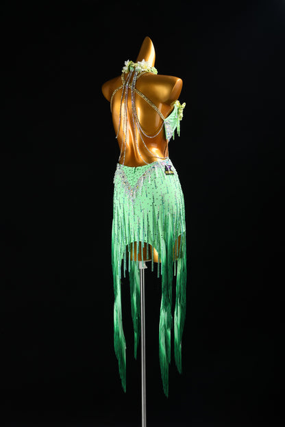 Mint Latin Dance Dress