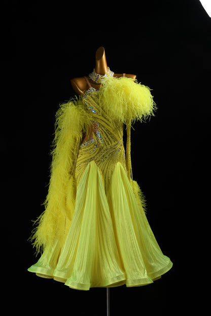 Couture Ballroom Dress