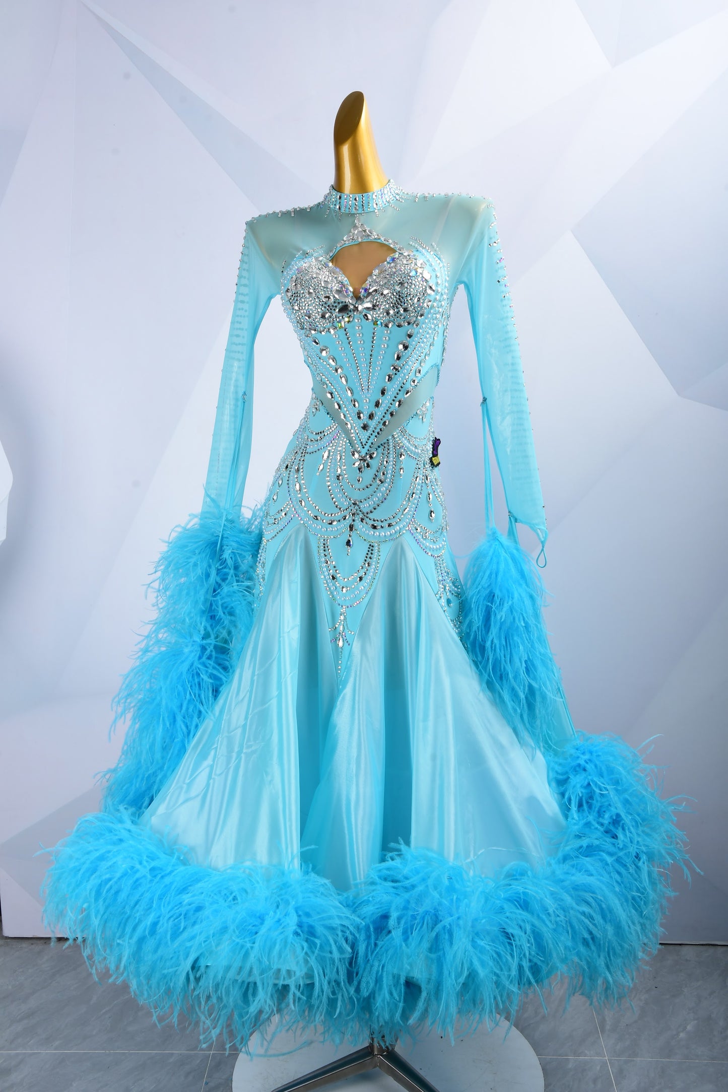 Ballroom Dance Dress