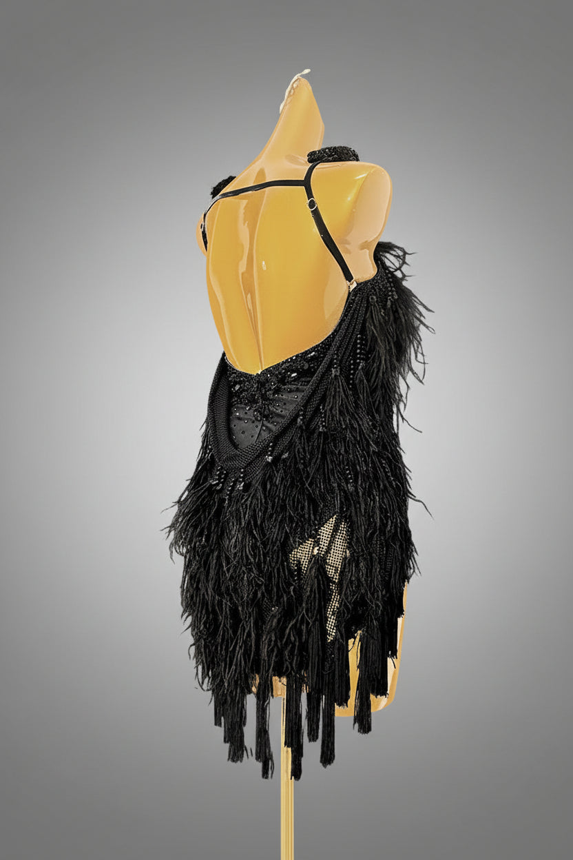 Latin Dancewear