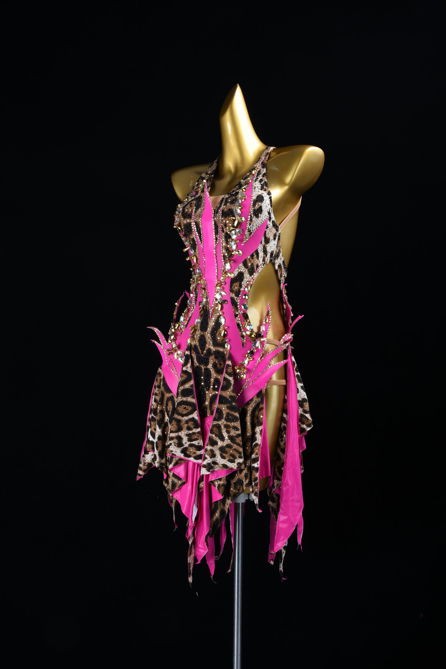 Flaming Wildflower | Latin Rhinestone Dress | DSC_7914