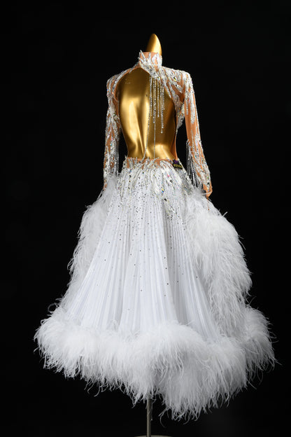 Standard Ballroom Dress
