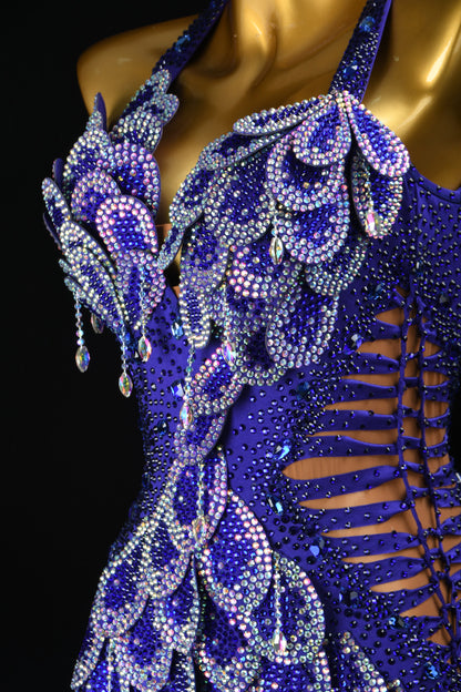 Female Dance Dress