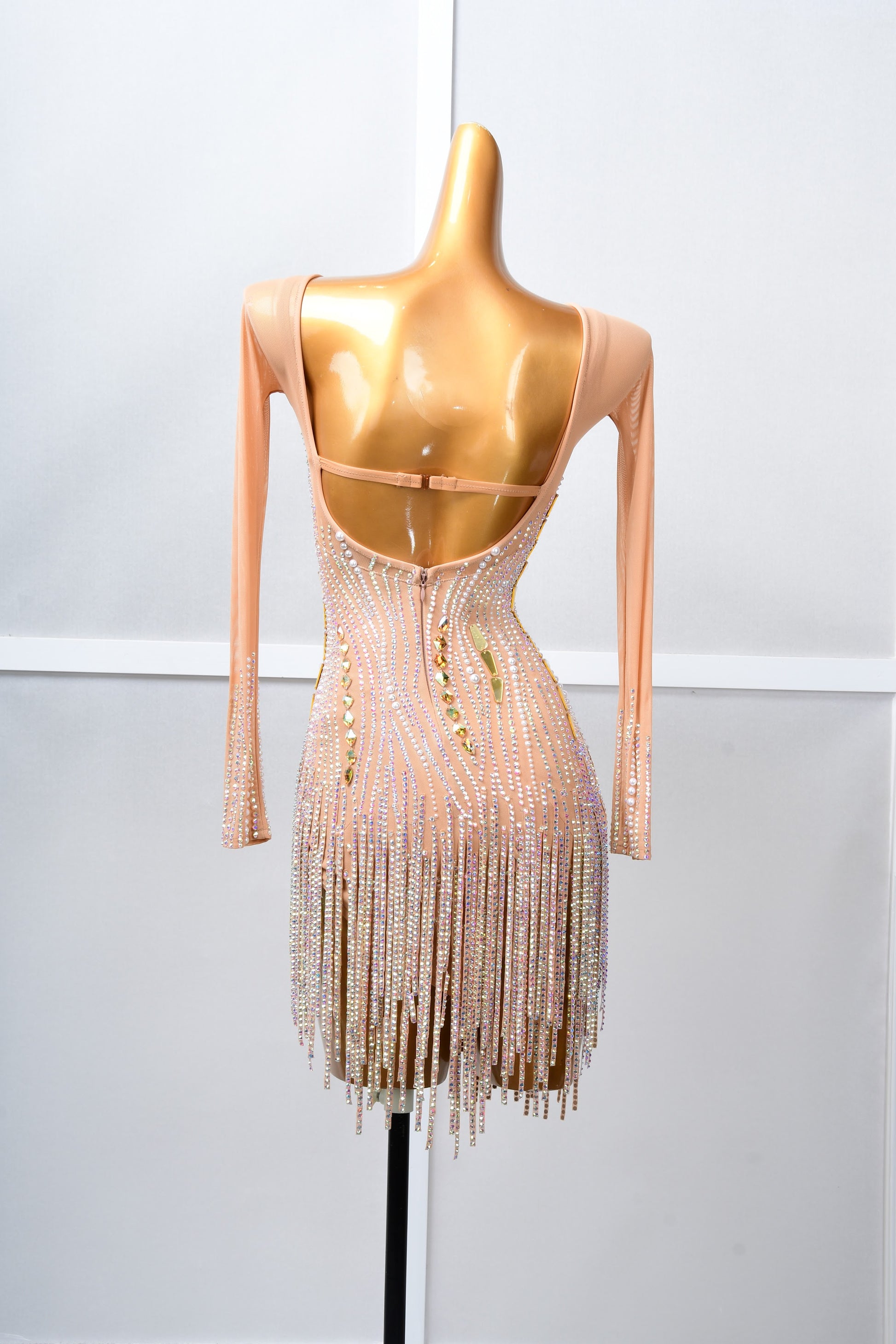 Professional Latin Dress