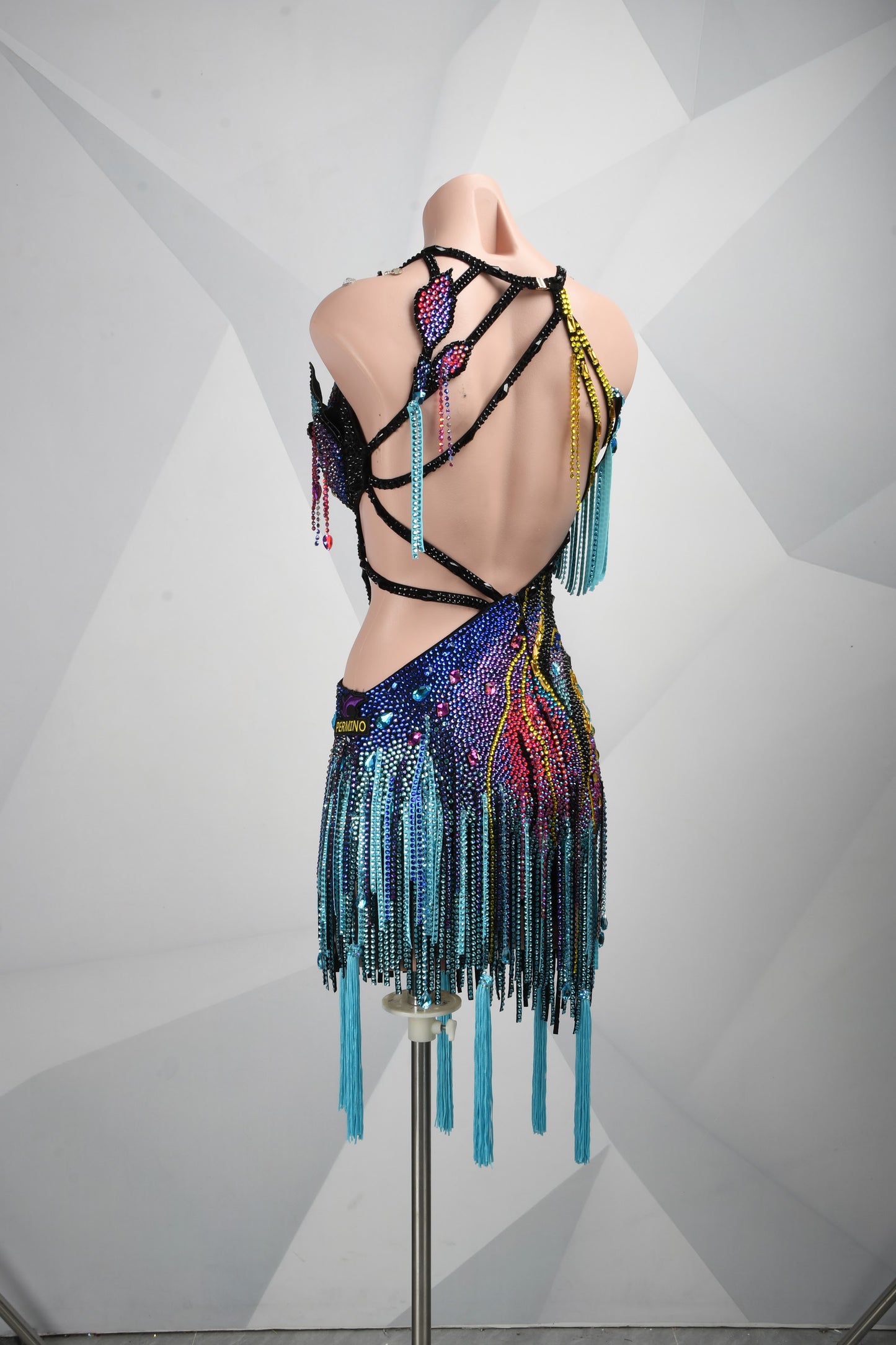 A Meteor Shower of Crystals | Latin Dance Dress | DSC_2094