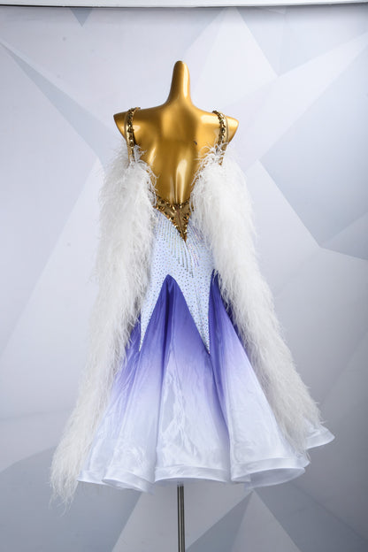 Ballroom Competition Dress